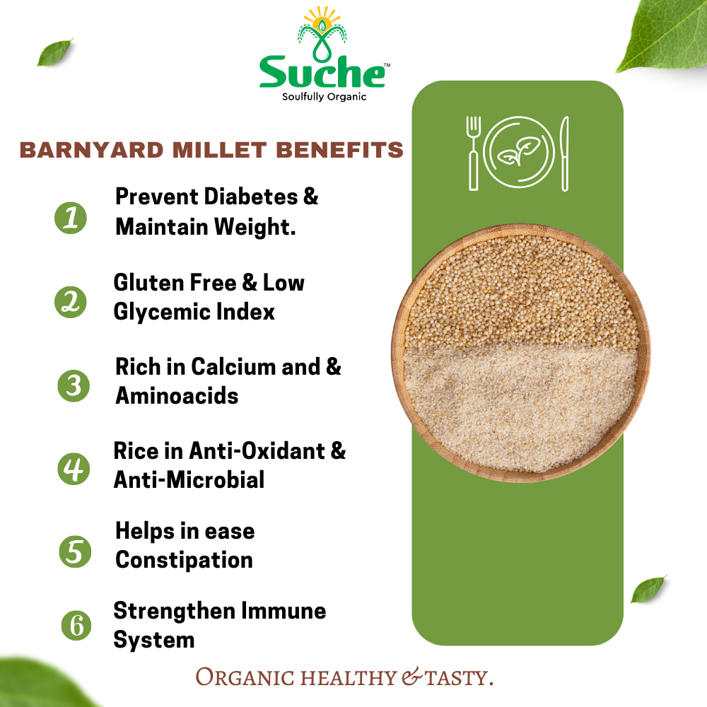 Organic Barnyard Millet Rava/Semolina