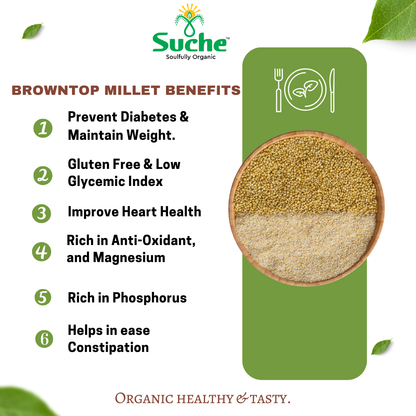 Organic Browntop Millet Rava/Semolina