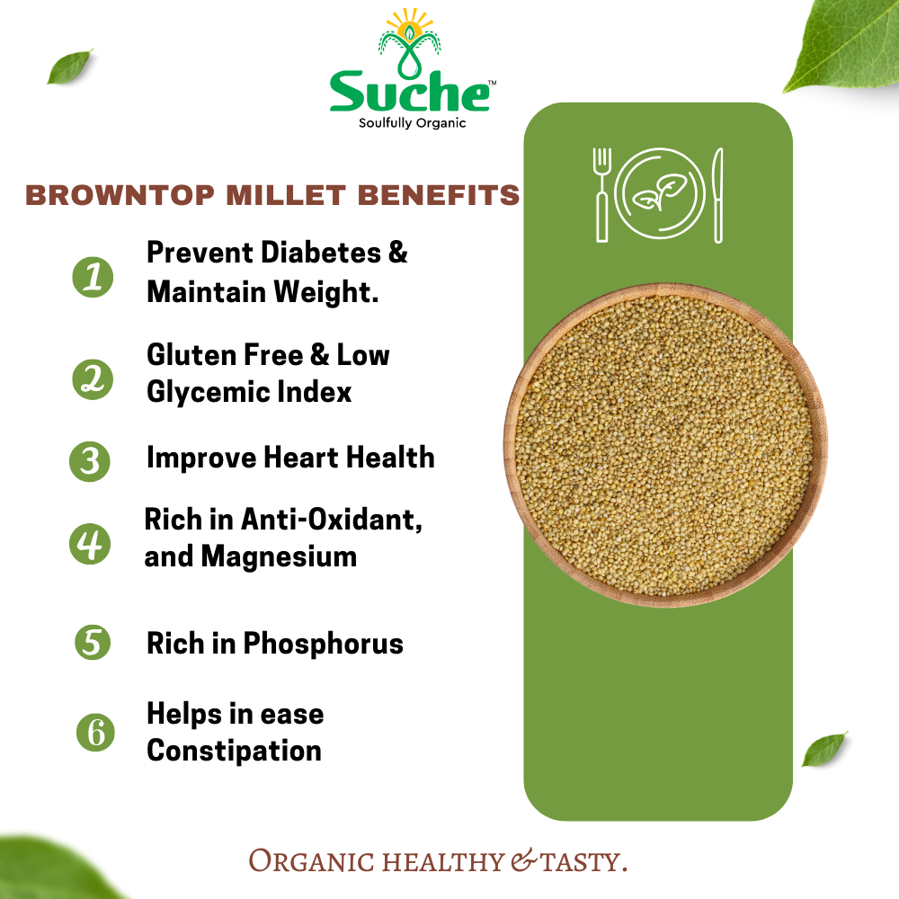 Organic Browntop Millet