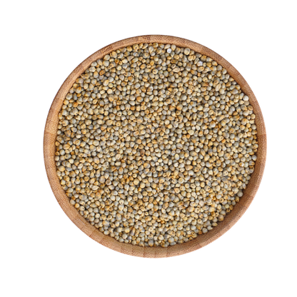 Organic Pearl Millet