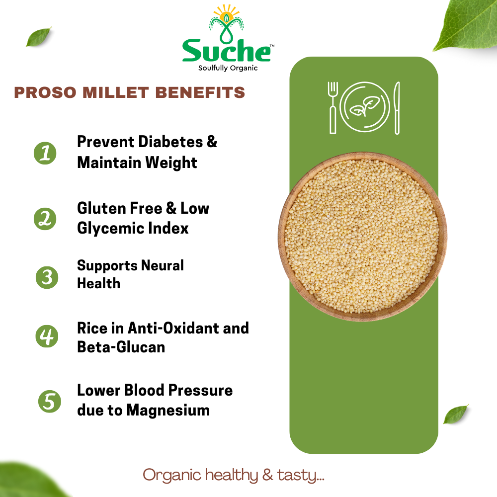 Organic Proso Millet