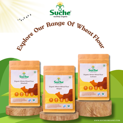 Organic Wheat Flour (Lokwan)